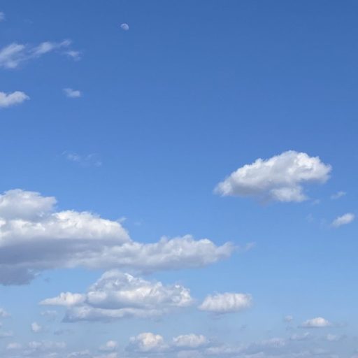 ピュアセラ⭐️コスメ自然派の私にとって天然由来、無添加は必須だね！｜ゆらぎ肌｜エイジングケア｜敏感肌でも安心｜目元や口元の小じわ｜肌のくすみ｜美容オイル｜天然オイル｜高保湿｜乾燥による小じわの改善｜